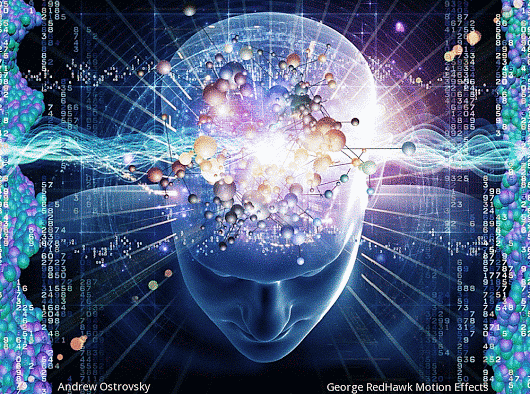 The quantum function of the brain
